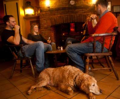 Top 10 Dog Friendly Things to Do - Dog at The Ship at Dunwich - Credit Emily Fae Top 10 Dog Friendly Things to Do - Dog at The Ship at Dunwich - Credit Emily Fae