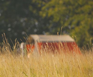 Wardley-Hill-Campsite-Tall-Grass-Tents Wardley-Hill-Campsite-Tall-Grass-Tents