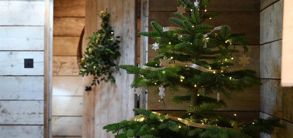 The Farmstead Lodges (c) Rufus Owen