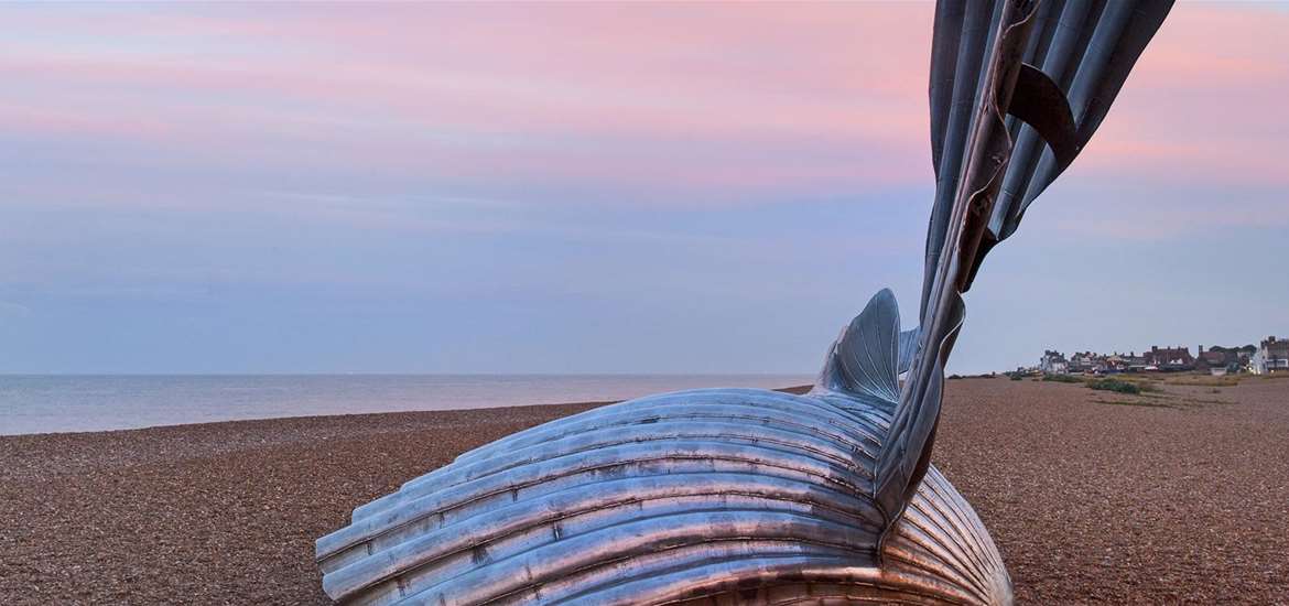 Scallop by Maggi Hambling - (c) Gill Moon Photography