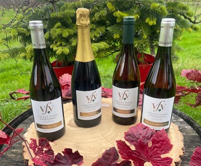 Valley Farm Vineyards
