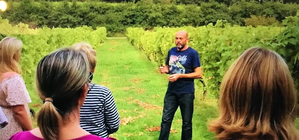VALLEY FARM VINEYARDS - TOUR