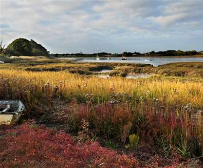 Visit Deben Peninsula