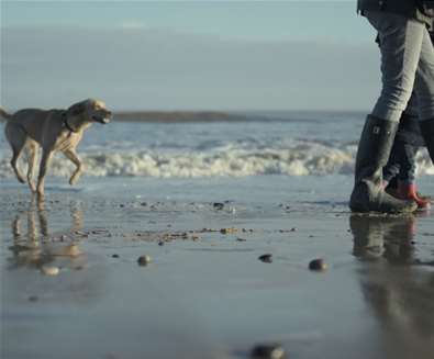 Beach walks on The Suffolk Coast