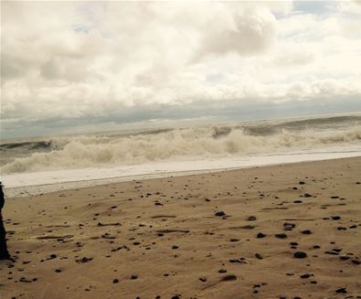 Beachcombing