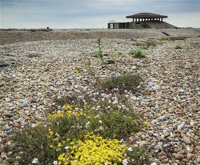 TTDA - Orford Ness - stones on beach TTDA - Orford Ness - stones on beach
