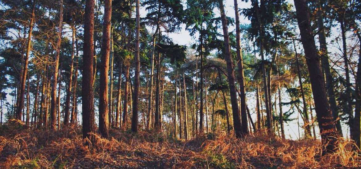 Great Photography Locations on The Suffolk Coast