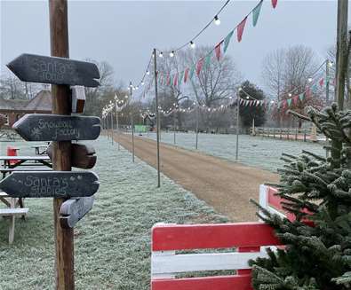 Christmas scene at Easton Farm Park