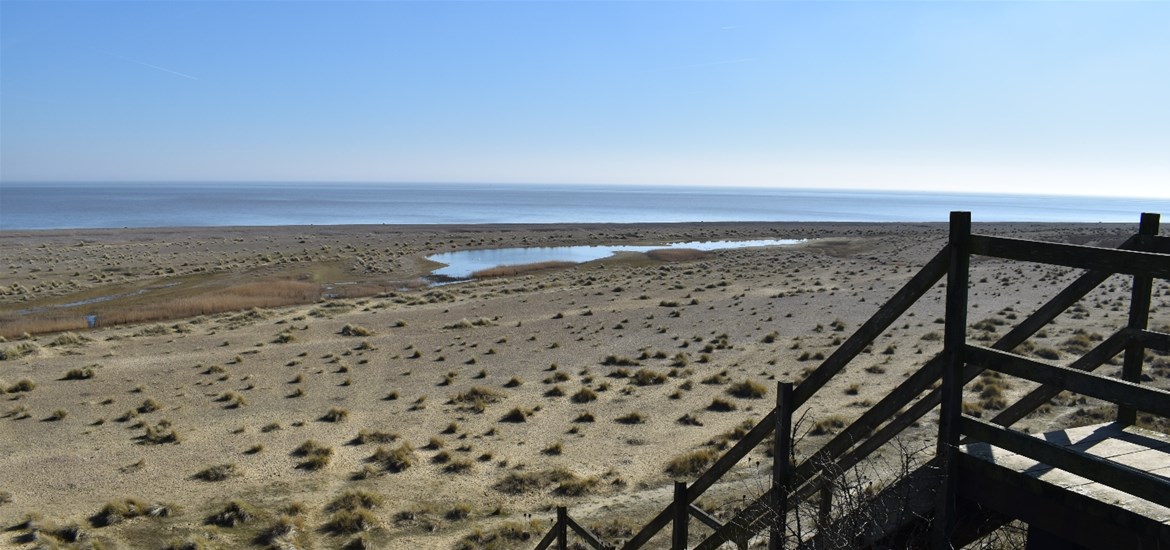 The Hollies - Where to Stay - Kessingland beach