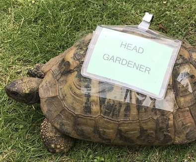 Middleton Open Gardens