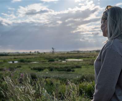 Carlton Marshes Lowestoft Story