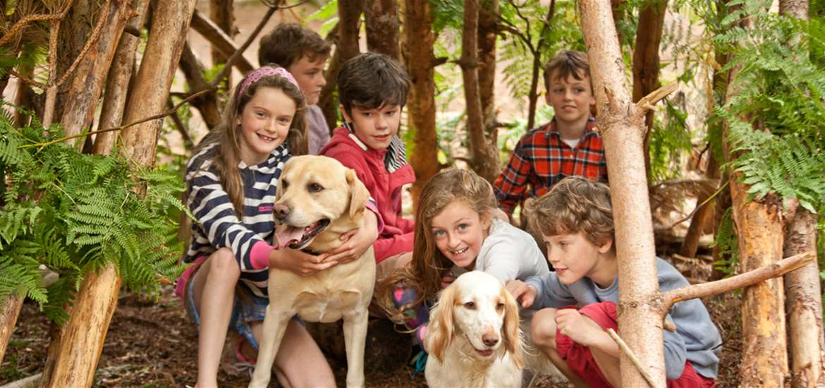 Children and dogs in a forest den - (c) The Suffolk Coast