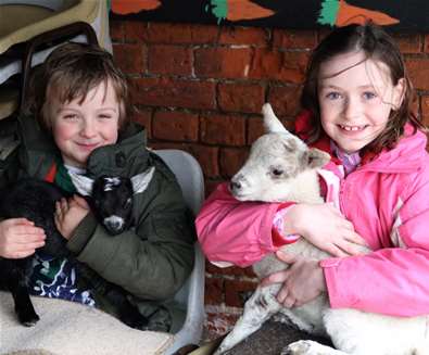 Children holding lambs at Easton Farm Park