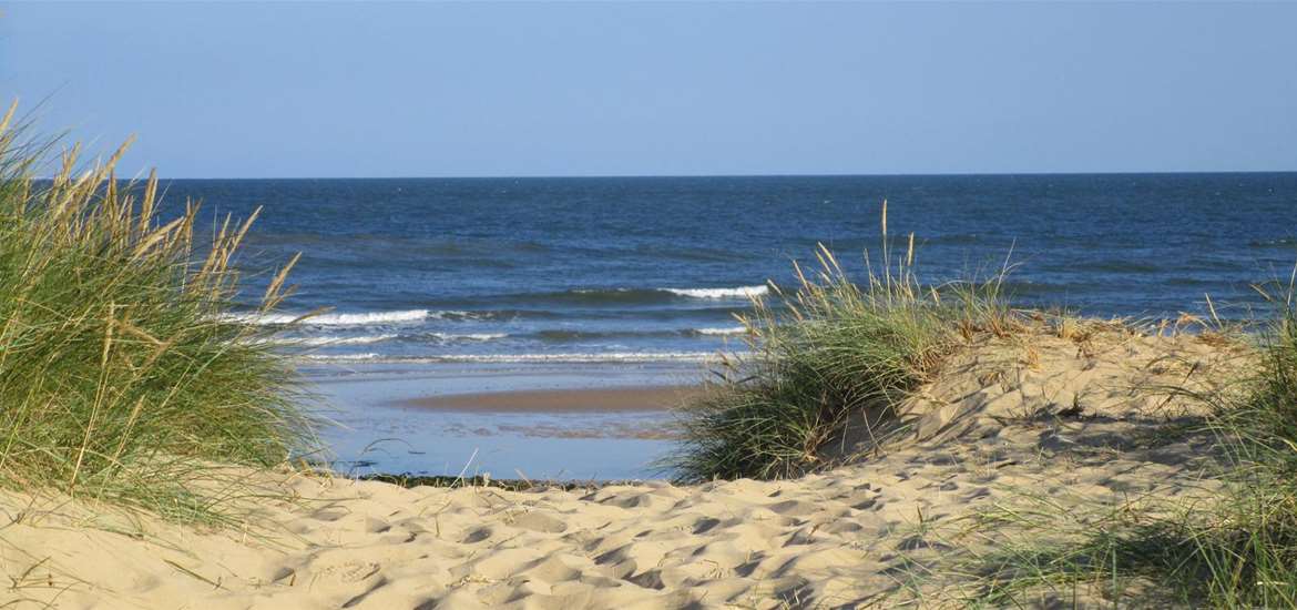 TTDA - Walberswick Beach - view through the dunes (c) Jane Calverley