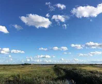 RSPB Minsmere Nature Reserve