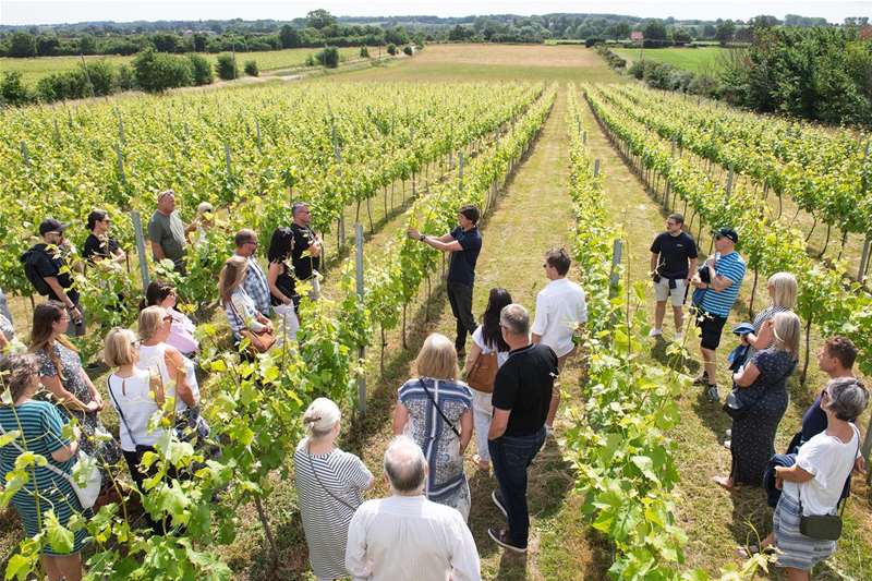 Flint Vinyard