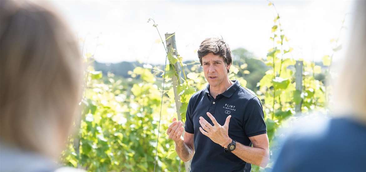 Flint Vineyard - Ben explaining the vine growing processes