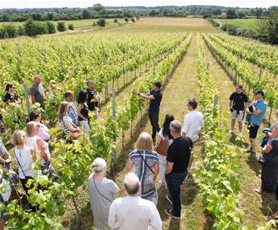 Flint Vineyard Discovery Tour