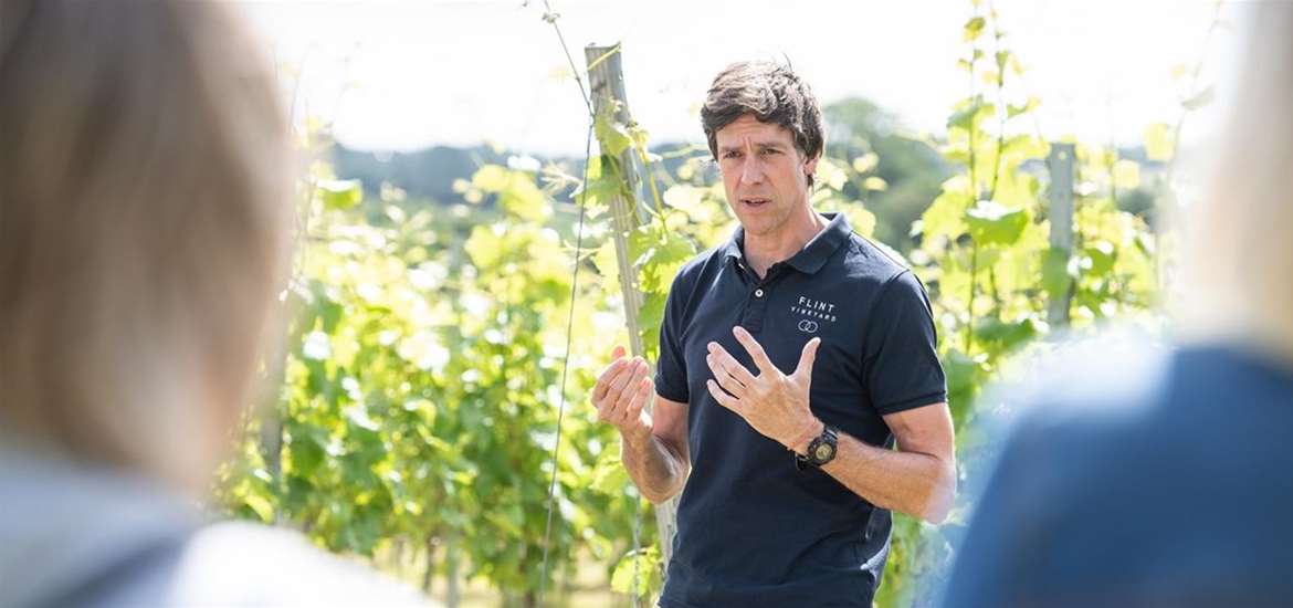 Flint Vineyard - Ben explaining the vine growing processes