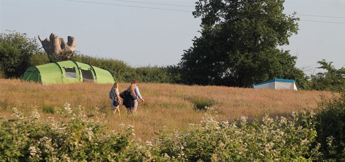 Birds & Bees Campsite