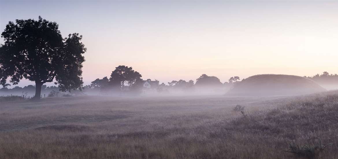 TTDA - Sutton Hoo - Royal Burial Ground