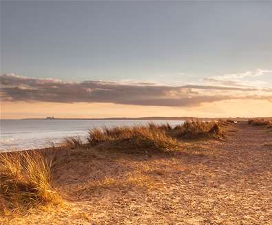 The Suffolk Coast's Wild Beaches