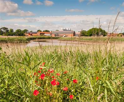 TTDA-Snape Maltings Concert Hall Summertime-Suffolk TTDA-Snape Maltings Concert Hall Summertime-Suffolk
