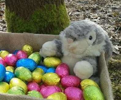 Rabbit teddy and eggs