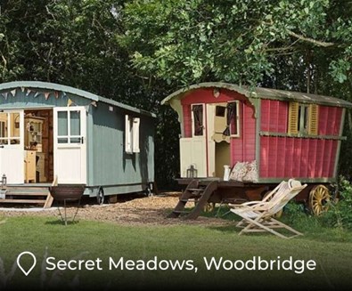 Secret Meadow comp