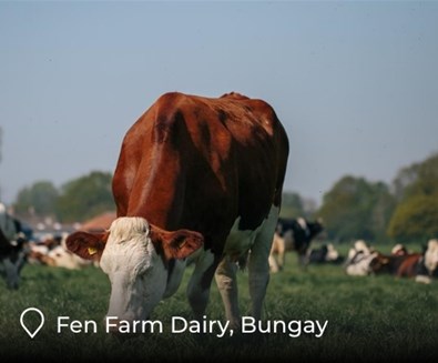 FEN FARM