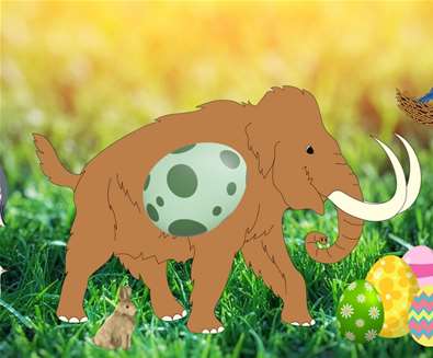 Woolly’s Egg Trail