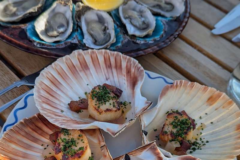 The Suffolk Scallops (c) The Suffolk