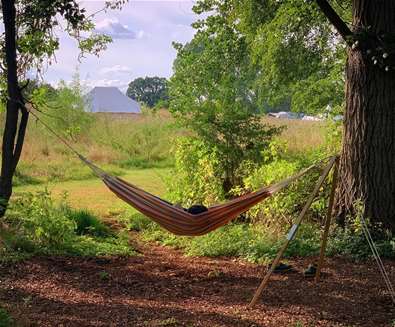 WTS - Wardley Hill Campsite - Hammock