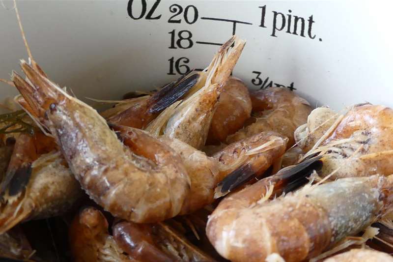 A Passion for Seafood