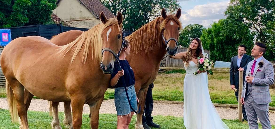 Jimmy's Weddings - Bride and groom with horses
