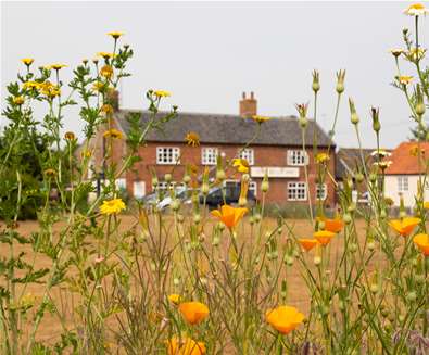 FD - Five Bells Inn - Pub through flowers