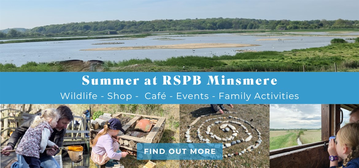 Banner Advertisement - RSPB July 2025