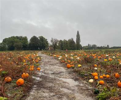 Akenham Hall Farm