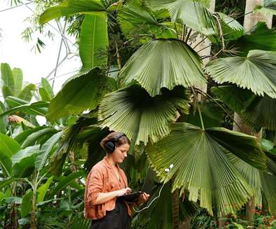 Alice Boyd: Field Recording Wor..