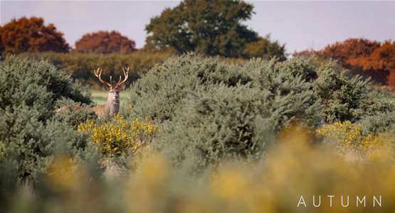 Autumn on The Suffolk Coast