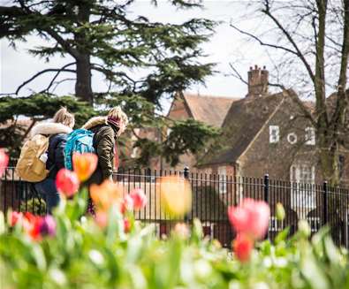 TTDA - Christchurch Park - Gardens