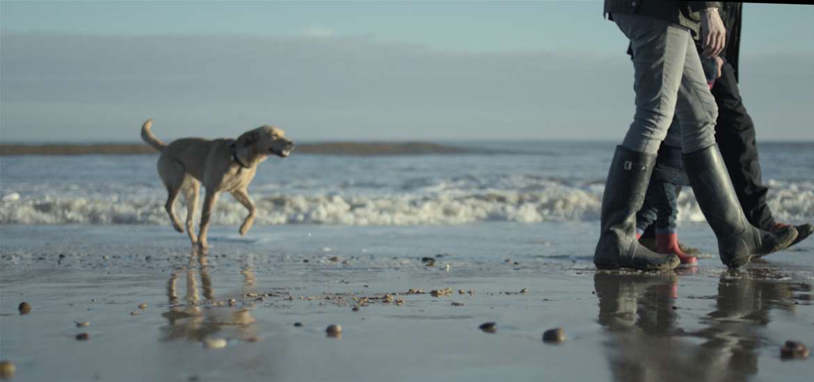 The Suffolk Coast - Guide to Walking