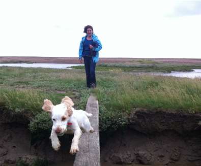 Dog walks on the Suffolk Coast