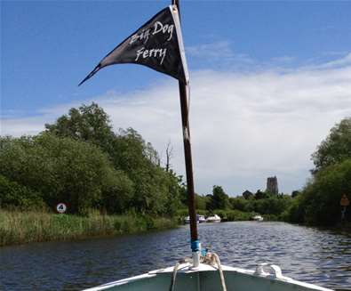 TTDA - Big Dog Ferry - Flag