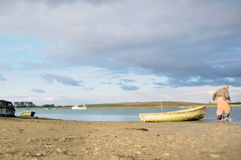 Bill Pinney - Orford - Suffolk Coast