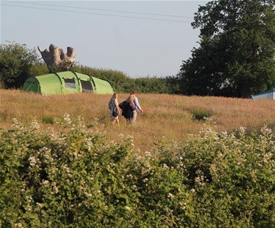 Birds and Bees Campsite