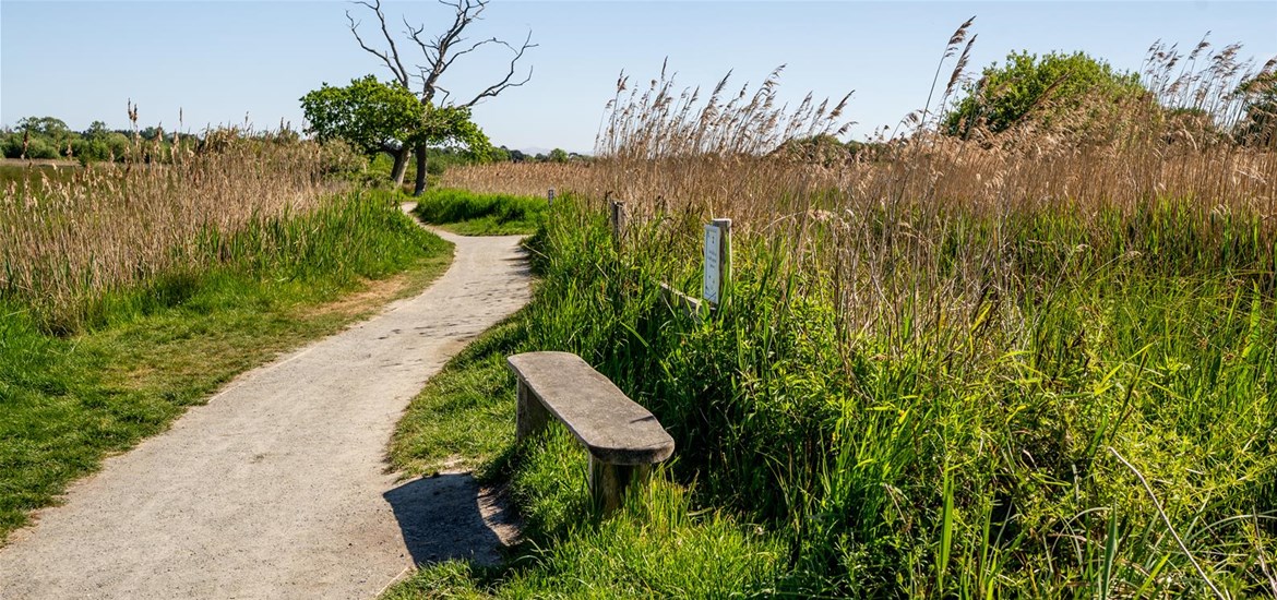 Carlton Marshes (c) Mary Ett