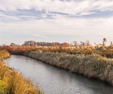 TTDA - Carlton Marshes - (c) Gill Moon Photography