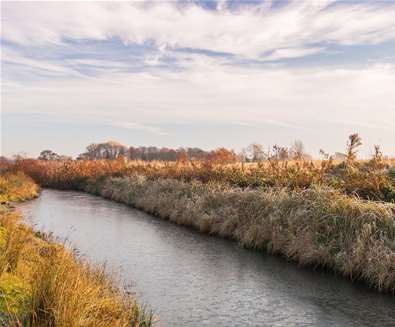 Carlton Marshes - (c) Gill Moon Photography