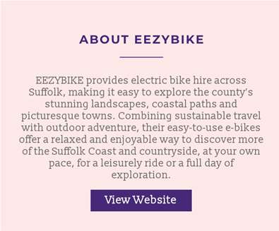 Eezybike comp